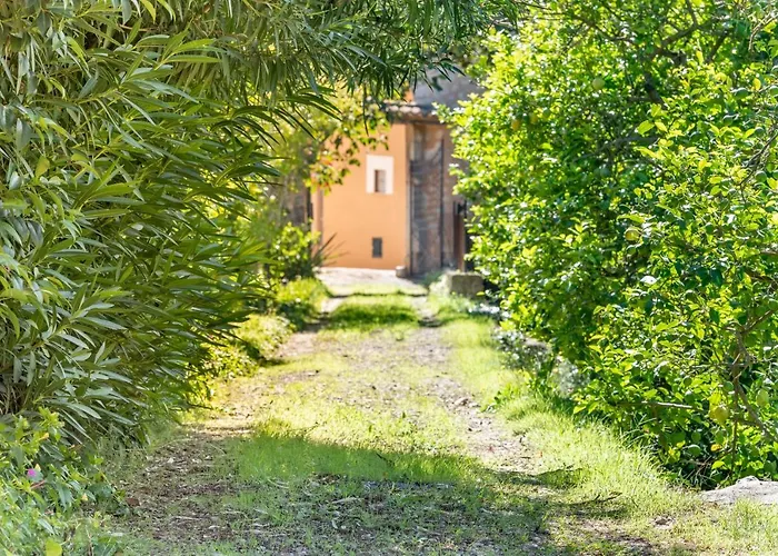 Soller House Close To The Center, Large Flat Orchard And Pool.